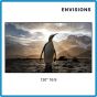 ENVISIONS CineGrey Fixed Frame Screen 150" 16:9