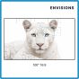 ENVISIONS CineWhite 4K Fixed Frame Screen 100" 16:9