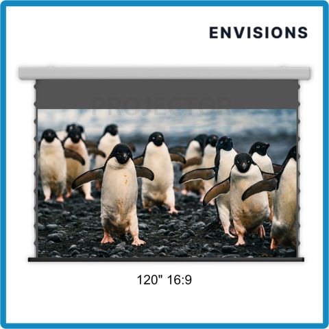 ENVISIONS CineGrey Pro Floor Rising Screen 120" 16:9