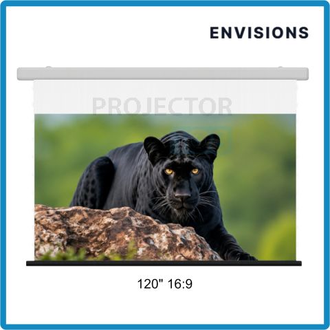 ENVISIONS CineWhite 4K Drop Down Screen 120" 16:9